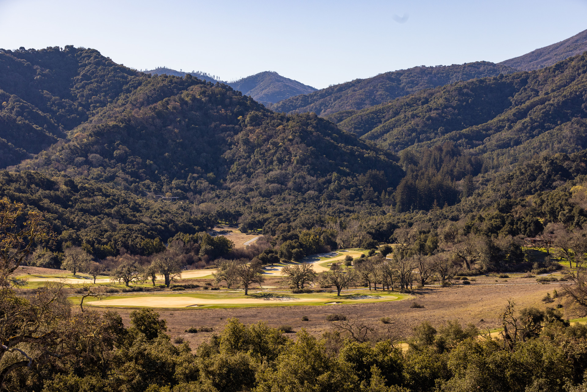 Our Team Amanda English Oliver, Licensed Associate to Lynn Knoop and