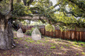 Image of Rental 2691 20