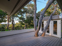 Image of Rental 2954 25