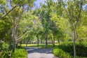 Image of Rental 2984 38
